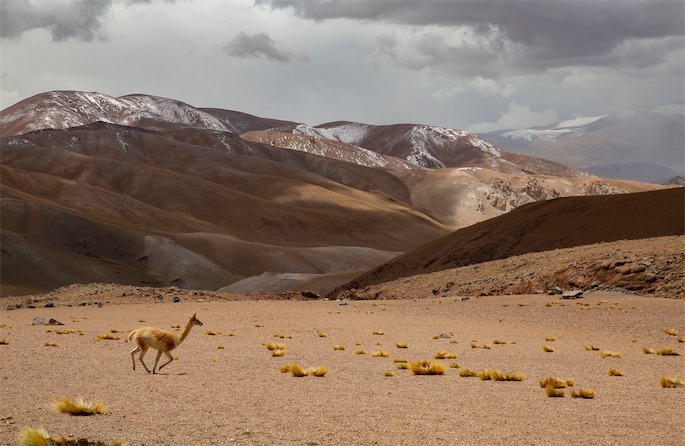外(wài)貿網站(zhàn)建設中的(de)多(duō)語言支持和(hé)國(guó)際化(huà)問(wèn)題