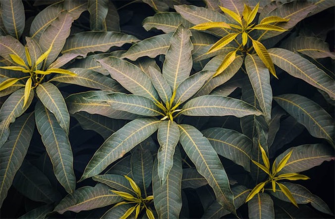 外(wài)貿網站(zhàn)建設：如(rú)何打造一(yī)個(gè)高(gāo)效的(de)外(wài)貿電(diàn)子(zǐ)商務平台