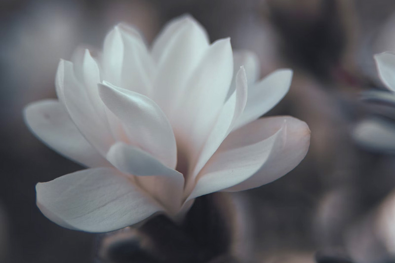 外(wài)貿網站(zhàn)設計(jì)公司的(de)合作(zuò)模式和(hé)流程解析