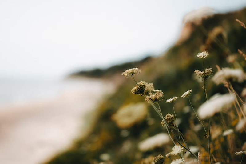 外(wài)貿獨立站(zhàn)的(de)關鍵功能(néng)和(hé)特點