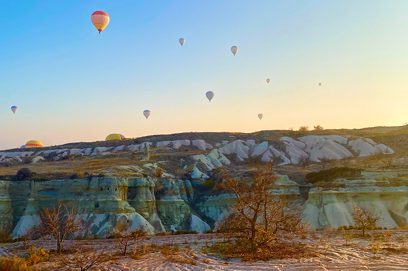 公司網站(zhàn)的(de)建設怎麽做(zuò)