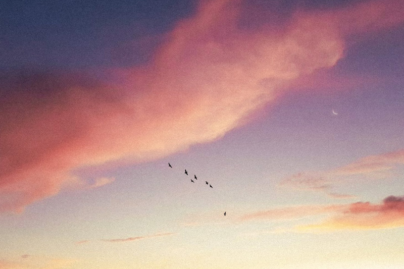 php網站(zhàn)開(kāi)發哪個(gè)好(hǎo)