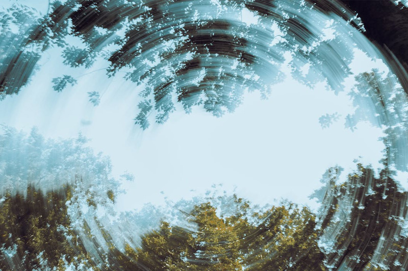 建立一(yī)個(gè)網站(zhàn)要(yào)多(duō)久