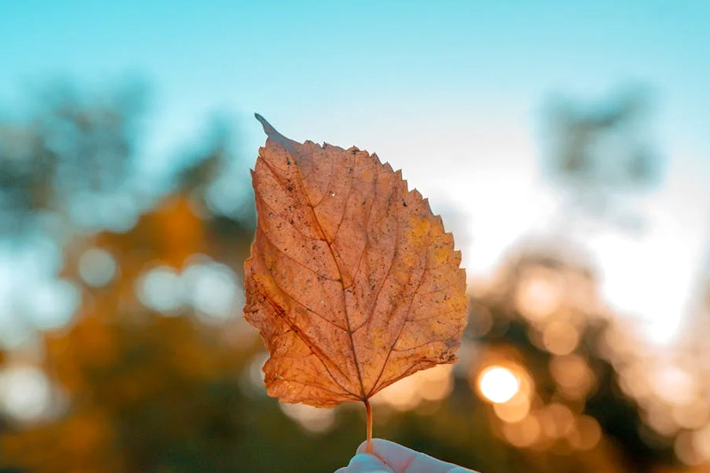 哪裡(lǐ)有(yǒu)比較好(hǎo)的(de)建站(zhàn)公司推薦