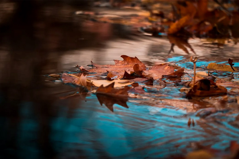 高(gāo)端網站(zhàn)建站(zhàn)哪家(jiā)好(hǎo)