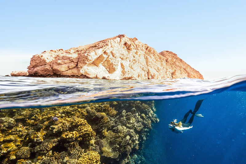 如(rú)何建立品牌官網