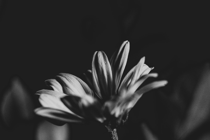 如(rú)何建立b2c網站(zhàn)