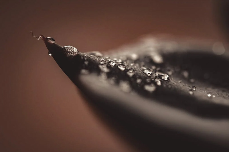 創建網站(zhàn)需要(yào)哪些(xiē)技(jì)術(shù)