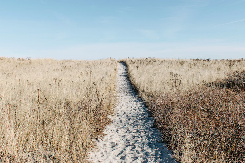 國(guó)內(nèi)獨立站(zhàn)建站(zhàn)平台有(yǒu)哪些(xiē)