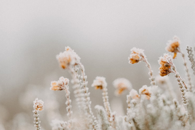 國(guó)內(nèi)做(zuò)中文(wén)官網建站(zhàn)的(de)公司，哪家(jiā)做(zuò)的(de)比較好(hǎo)