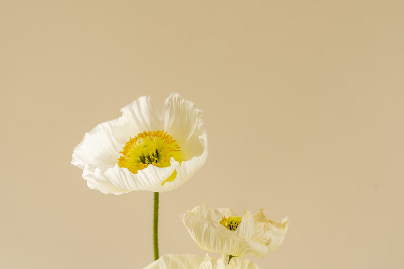 響應式網站(zhàn)是(shì)什(shén)麽