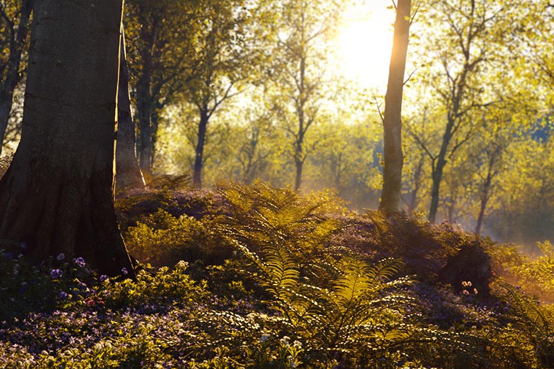 做(zuò)外(wài)貿建站(zhàn)如(rú)何選擇适合的(de)服務器(qì)