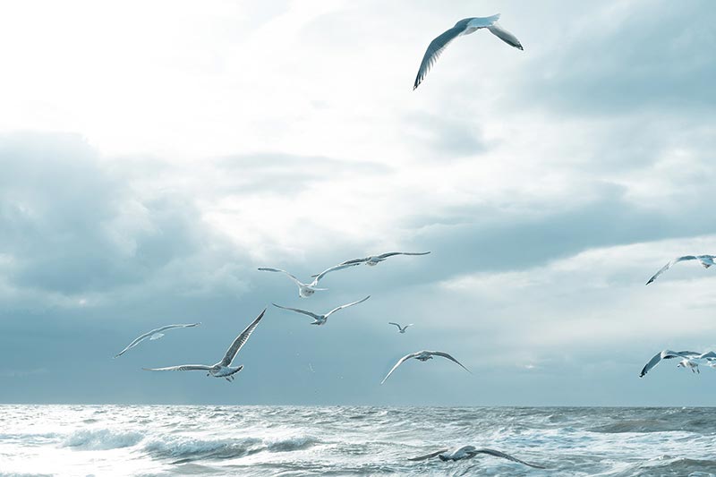 剛創辦的(de)公司是(shì)否有(yǒu)必要(yào)做(zuò)一(yī)個(gè)網站(zhàn)