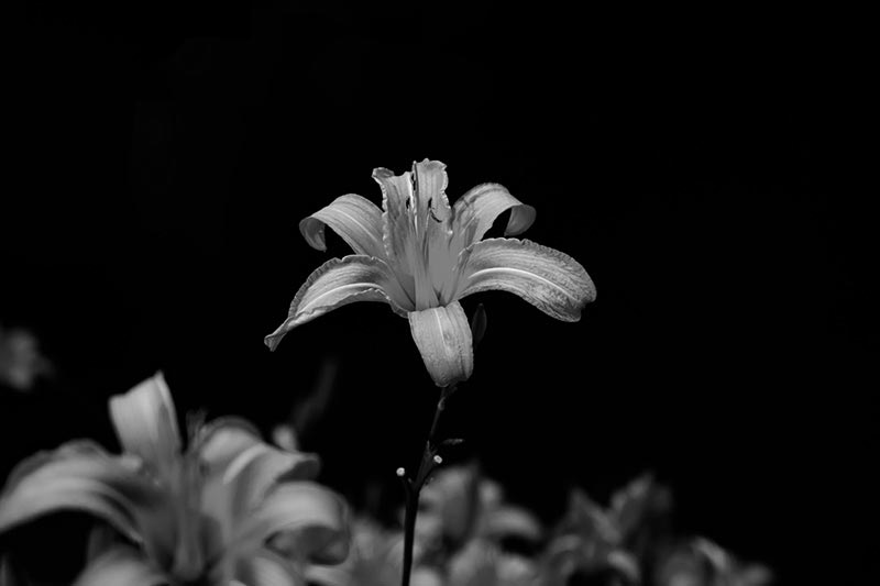 學習(xí)如(rú)何用(yòng)dw制(zhì)作(zuò)網站(zhàn)