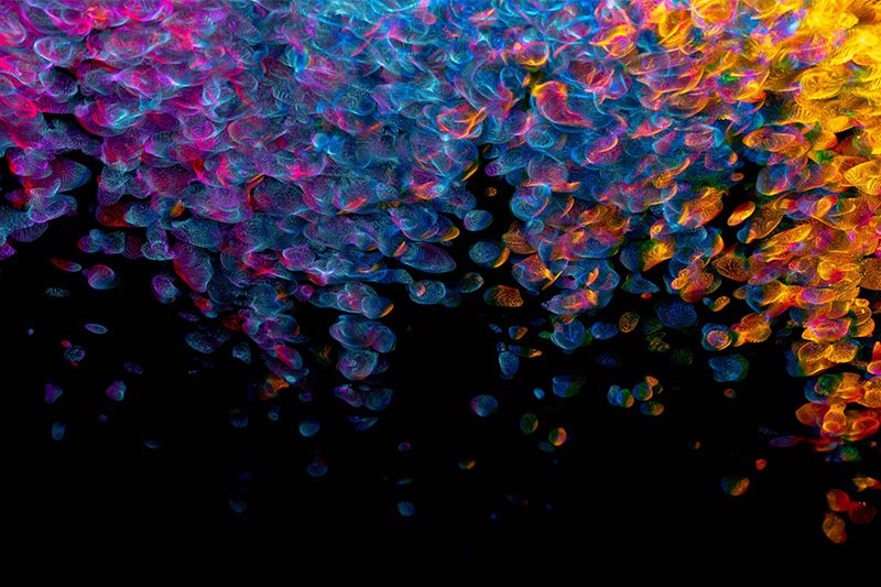 如(rú)何建一(yī)個(gè)免費(fèi)的(de)公司網站(zhàn)