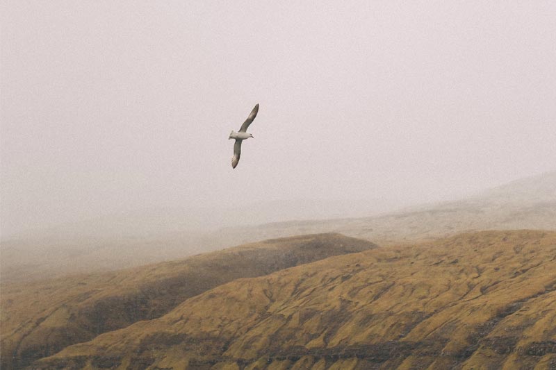 清遠(yuǎn)比較好(hǎo)的(de)網站(zhàn)制(zhì)作(zuò)公司是(shì)怎樣的(de)