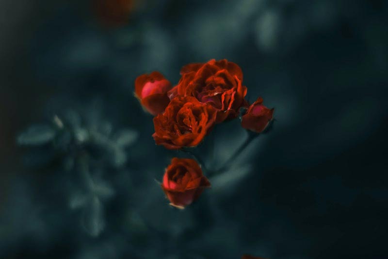 讓你(nǐ)的(de)移動端網頁提提速