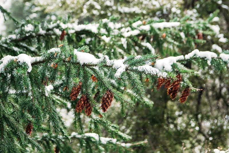 在肇慶，如(rú)何自(zì)己做(zuò)一(yī)個(gè)網站(zhàn)