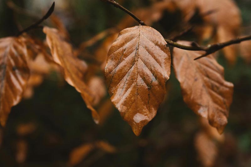 如(rú)何設計(jì)有(yǒu)創意的(de)個(gè)人(rén)網站(zhàn)