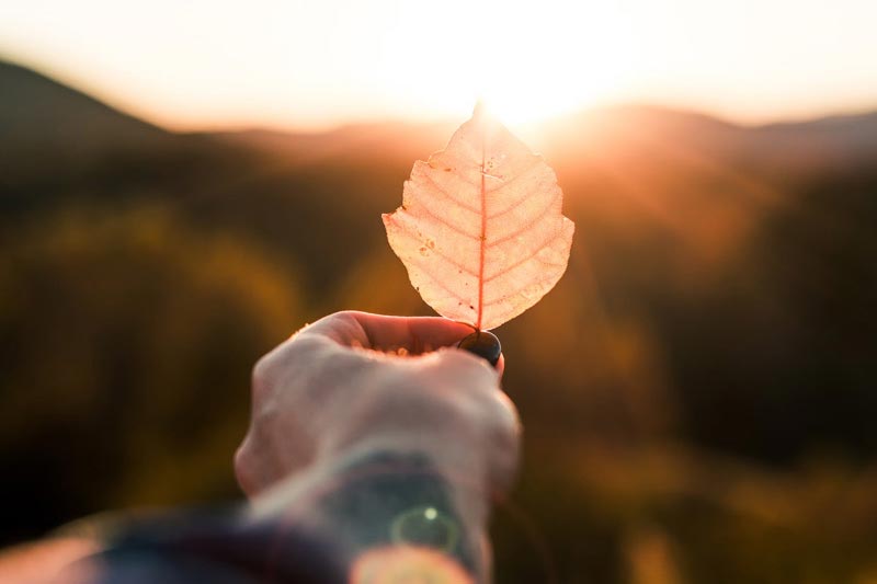 創意網站(zhàn)建設的(de)重要(yào)性