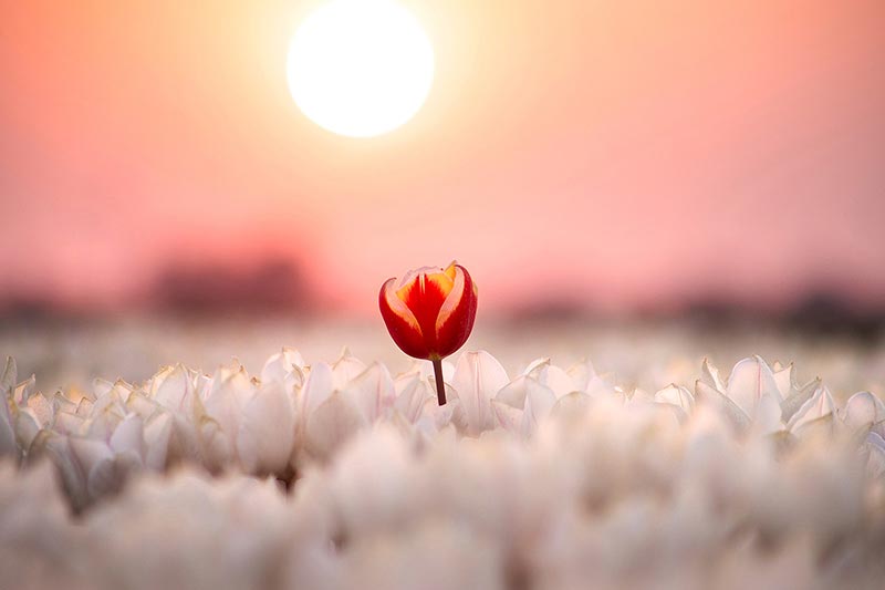 O2O商城(chéng)吸引新客戶的(de)小(xiǎo)巧思