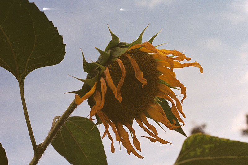 大(dà)型門(mén)戶網站(zhàn)開(kāi)發如(rú)何選擇适合自(zì)己的(de)建站(zhàn)公司