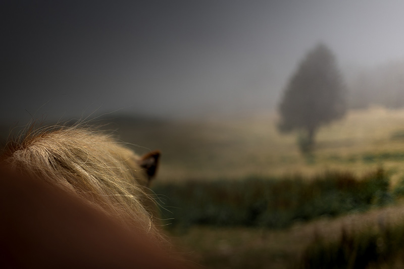 多(duō)用(yòng)戶商城(chéng)系統網站(zhàn)開(kāi)發的(de)思路(lù)