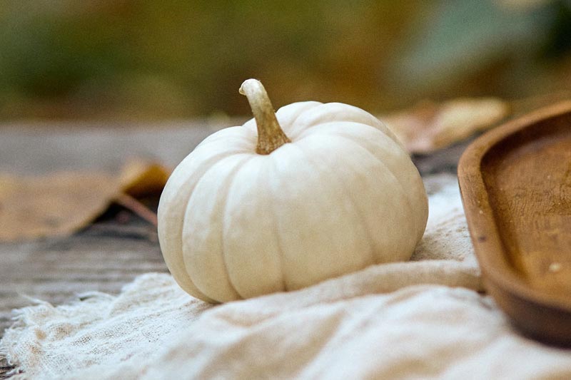 做(zuò)商城(chéng)網站(zhàn)有(yǒu)什(shén)麽類型