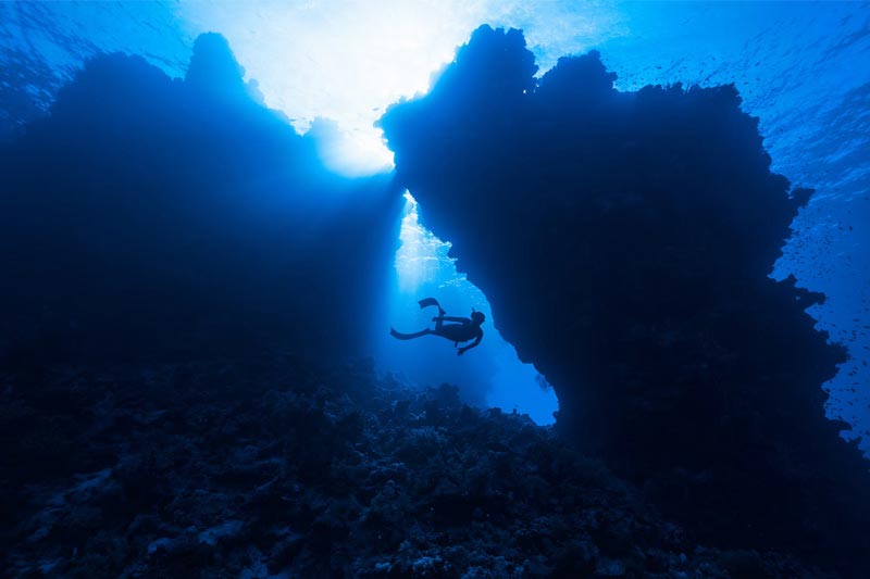 價格低(dī)的(de)網站(zhàn)建設公司有(yǒu)哪些(xiē)