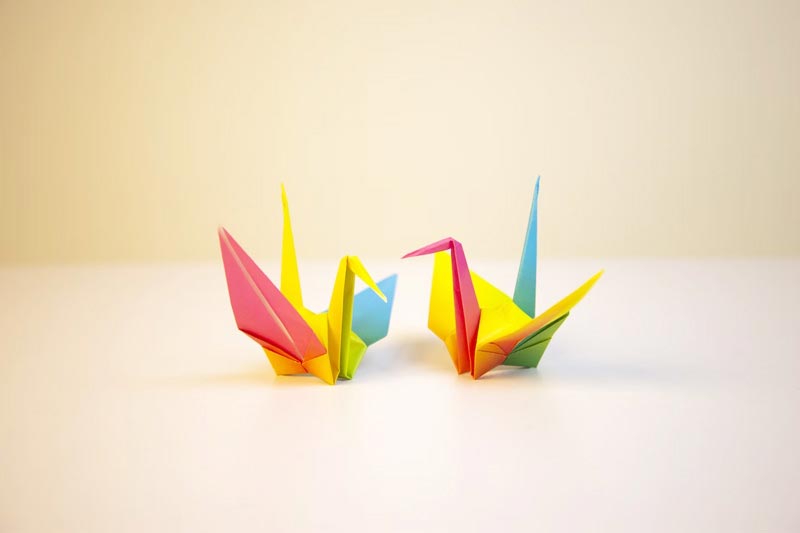 在廣州哪裡(lǐ)有(yǒu)便宜的(de)網站(zhàn)建設公司