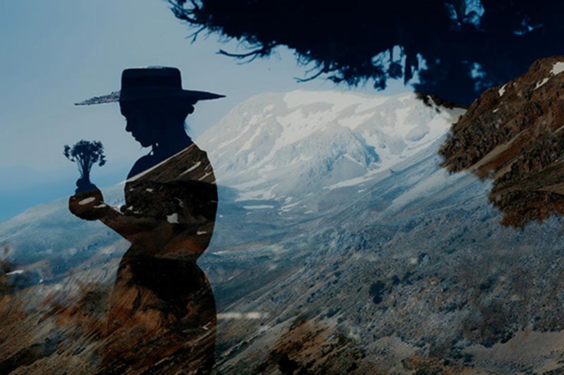 報(bào)名表類型的(de)網站(zhàn)開(kāi)發需要(yào)注意什(shén)麽事(shì)項