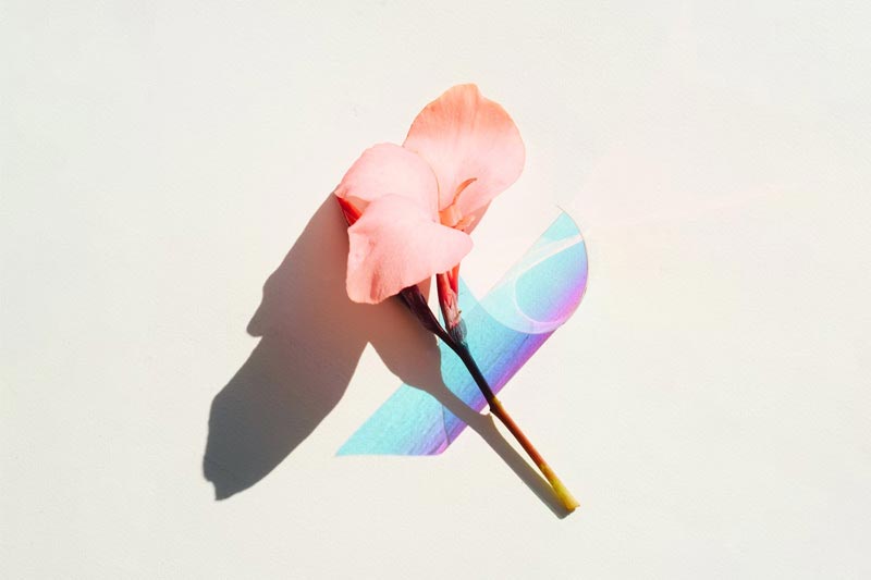 開(kāi)發一(yī)個(gè)自(zì)己的(de)網站(zhàn)，選CMS建站(zhàn)靠譜嗎(ma)