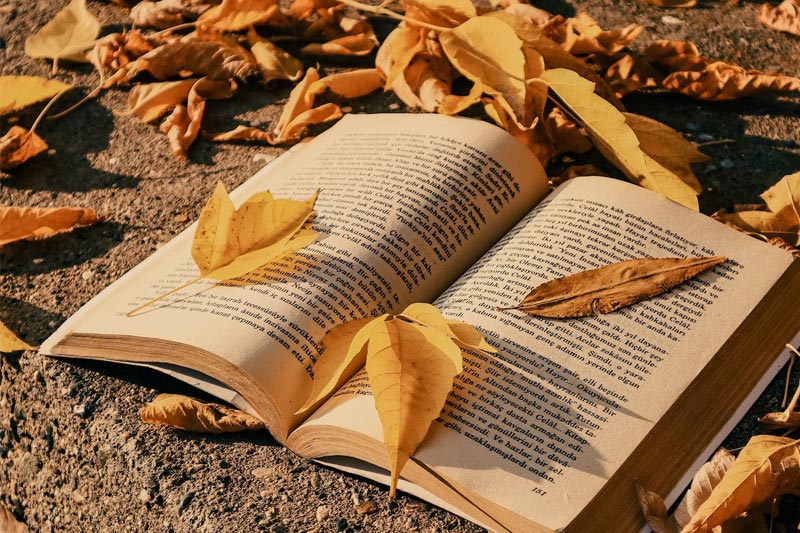 php網站(zhàn)制(zhì)作(zuò)的(de)思路(lù)