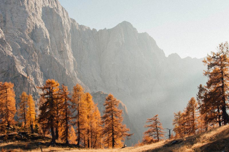 怎樣免費(fèi)搭建婚戀交友(yǒu)網站(zhàn)