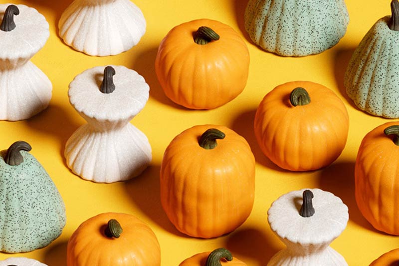 廣州大(dà)型商城(chéng)網站(zhàn)開(kāi)發哪個(gè)好(hǎo)