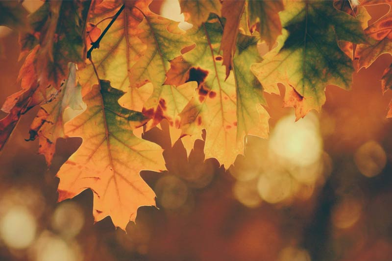 第一(yī)次嘗試外(wài)貿，如(rú)何建一(yī)個(gè)國(guó)外(wài)的(de)網站(zhàn)