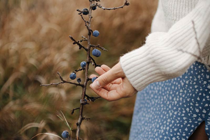 如(rú)何建立一(yī)些(xiē)高(gāo)質量的(de)論壇網站(zhàn)