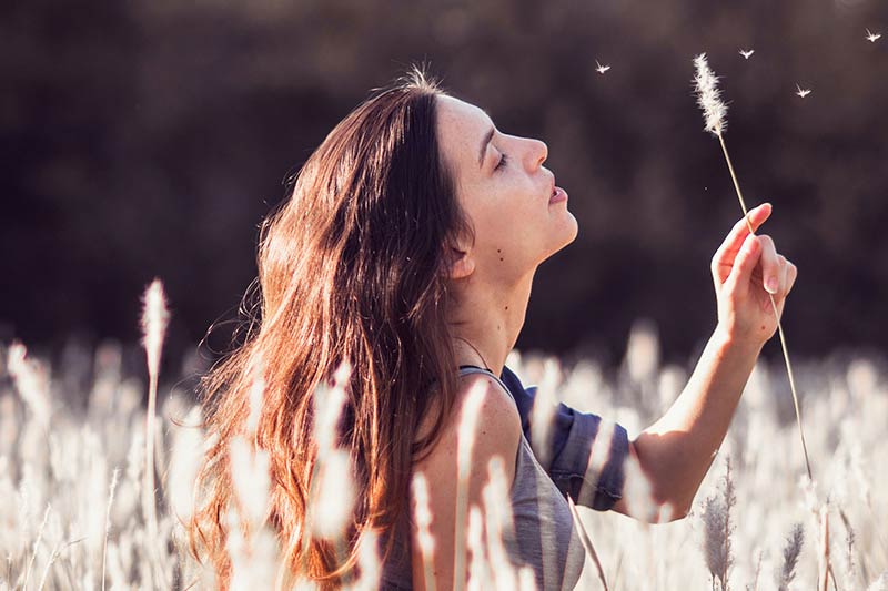 如(rú)何用(yòng)WordPress搭建視(shì)頻(pín)網站(zhàn)