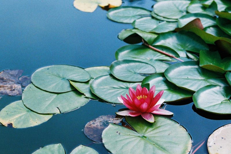 制(zhì)作(zuò)旅遊網站(zhàn)的(de)思路(lù)