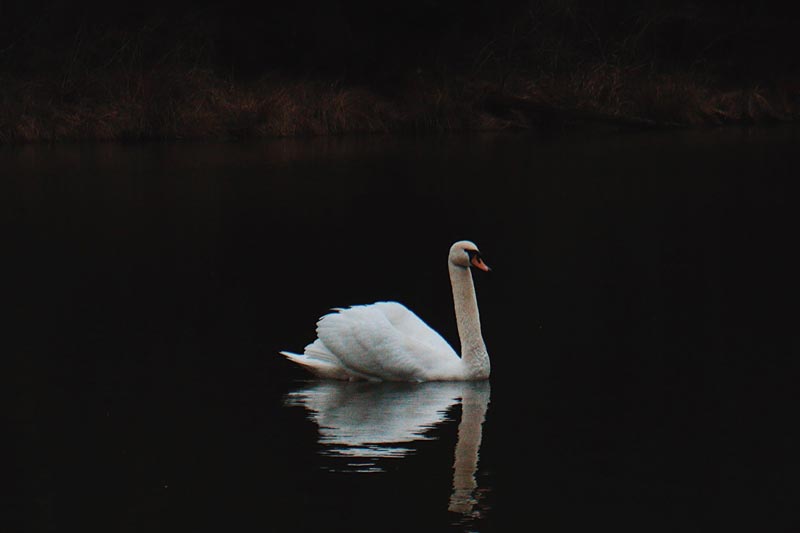 為(wèi)何有(yǒu)的(de)建站(zhàn)公司做(zuò)網站(zhàn)的(de)價格特别便宜