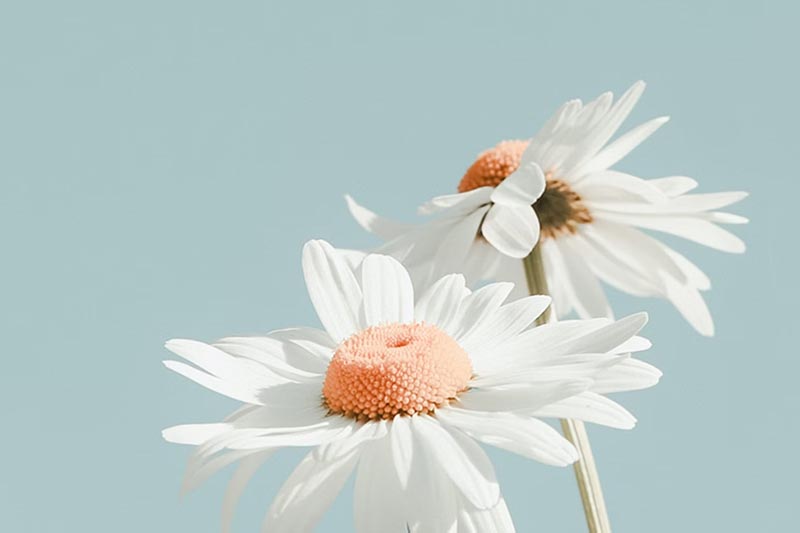 廣州做(zuò)科(kē)技(jì)網站(zhàn)，選擇單頁網站(zhàn)還(hái)是(shì)多(duō)頁網站(zhàn)好(hǎo)