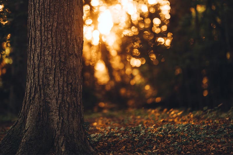 廣州有(yǒu)哪些(xiē)高(gāo)端網站(zhàn)設計(jì)制(zhì)作(zuò)公司