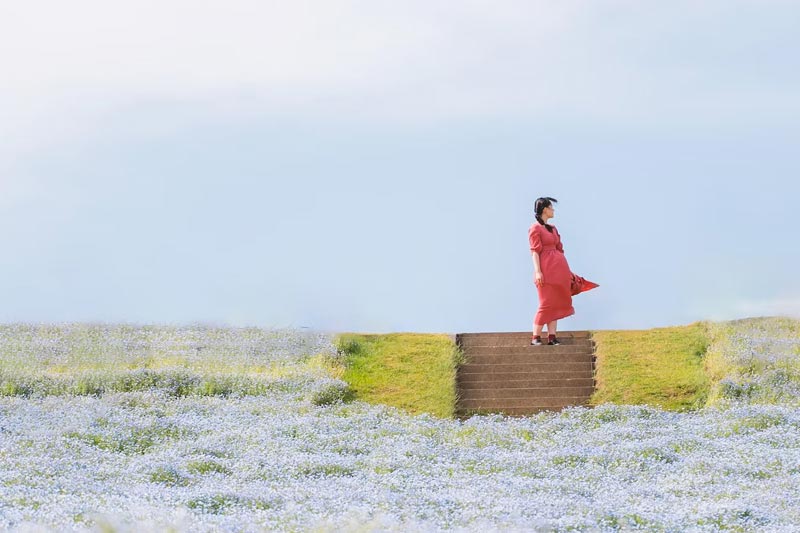 2024年(nián)做(zuò)門(mén)戶網站(zhàn)一(yī)般是(shì)什(shén)麽流程