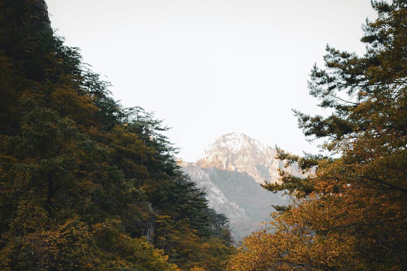 做(zuò)B2B電(diàn)子(zǐ)商務網站(zhàn)對(duì)企業(yè)有(yǒu)什(shén)麽好(hǎo)處