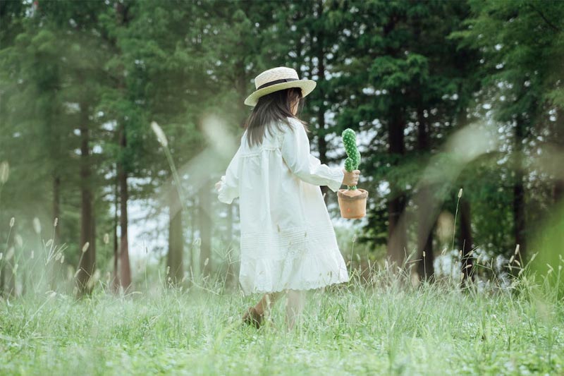 3D可(kě)視(shì)化(huà)網站(zhàn)是(shì)什(shén)麽