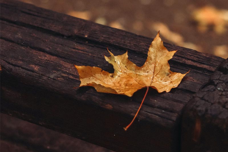 新手做(zuò)O2O小(xiǎo)程序可(kě)靠嗎(ma)