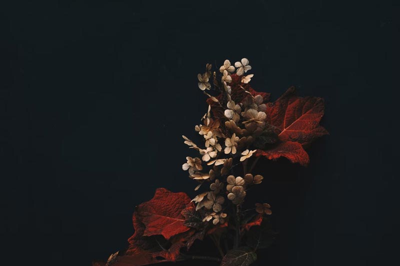 制(zhì)作(zuò)外(wài)賣小(xiǎo)程序有(yǒu)什(shén)麽優勢