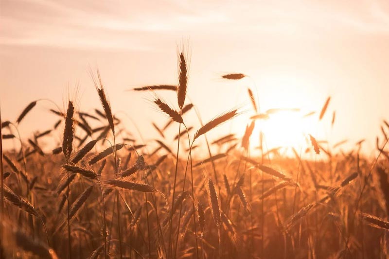 五金(jīn)行(xíng)業(yè)能(néng)做(zuò)高(gāo)端網站(zhàn)嗎(ma)