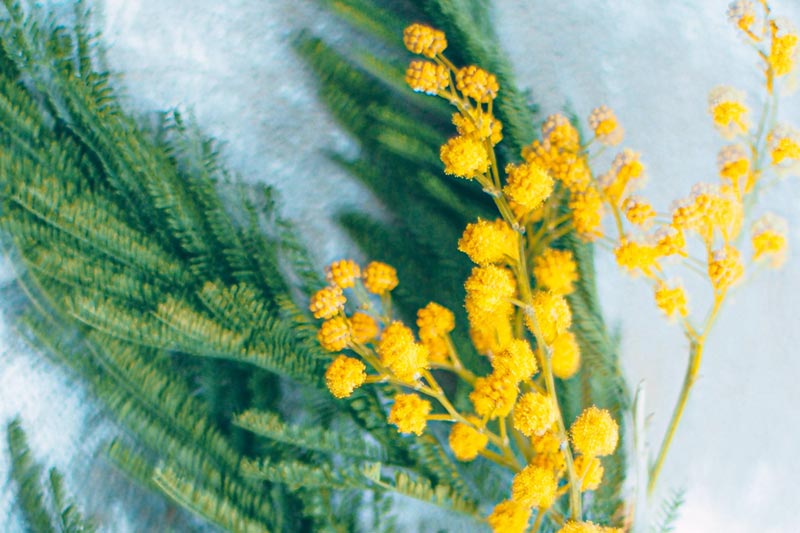 做(zuò)一(yī)個(gè)茶葉類網站(zhàn)需要(yào)了(le)解什(shén)麽