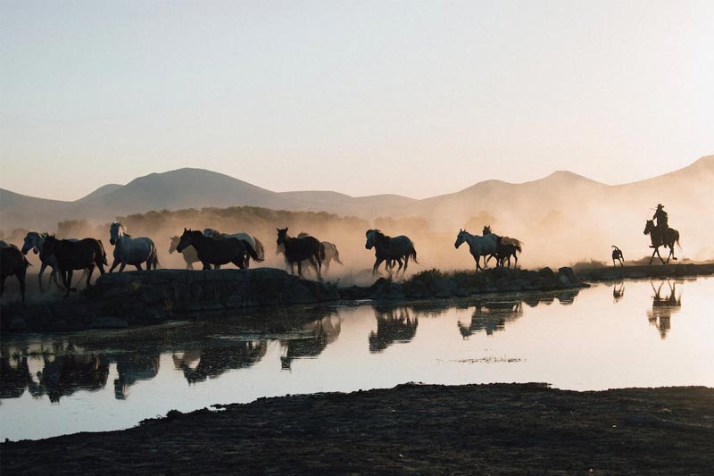 多(duō)角度提前規劃門(mén)窗(chuāng)網站(zhàn)